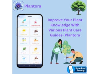 Improve your plant knowledge with various plant care guides