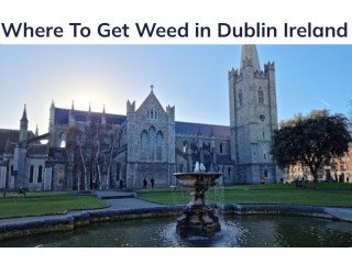 Where To Get Weed in Dublin Ireland.
