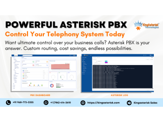 Powerful Asterisk PBX Control Your Telephony System Today''