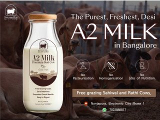 Order Desi Cow Milk in Bangalore 100% Pure & Organic