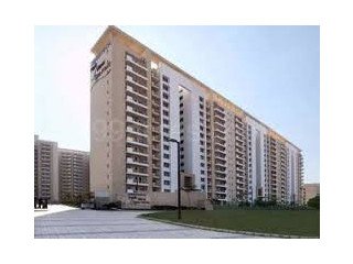 Luxury Apartment in Gurgaon