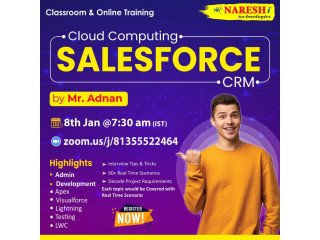 Saleforce Course Training in Hyderabad - Naresh i Technologies