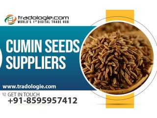 Cumin Seeds Suppliers