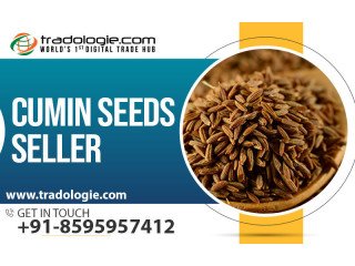 Cumin Seeds Seller