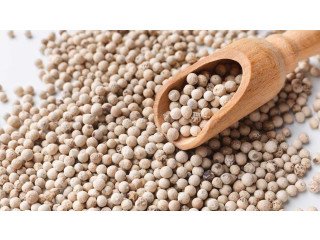 Top 10 White Pepper Importers