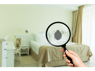 Bed bug Control Services in Bhubaneswar