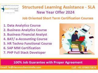 Business Analyst Course in Delhi by IBM, Online Business Analytics Certification by Google, 100% Job - SLA Consultants India,