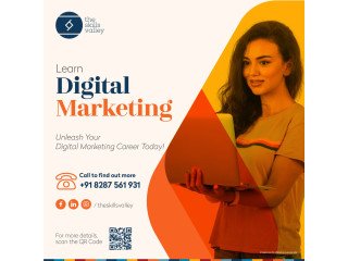 Premier Digital Marketing Course in Delhi NCR | The Skills Valley