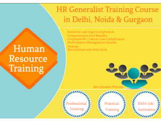HR Training Course in Delhi with Payroll, SAP HCM & HR Analytics Classes, SLA Institute, 100% Job Salary Upto 6.5 LPA