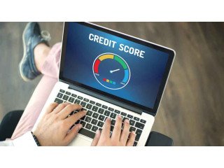 Credit Assessment Reports