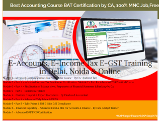 Accounting Course in Delhi, NCR by SLA Accounting Institute, Taxation and Tally Prime Institute in Delhi, Noida,