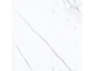 Beyond Trends: The Enduring Allure of White Marble