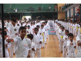 Nochikan Karate international provides the N0.1 Self defence classes in Kerala.