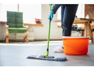 Professional Home Cleaning & Pest Solutions - Solitaire Facility Management