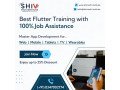 best-flutter-training-with-100-job-assistance-small-0