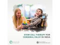 stem-cells-a-hope-for-cerebral-palsy-treatment-in-india-small-0