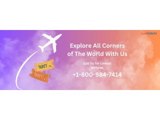 Book cheap flights to Miami