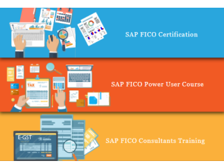 SAP FICO Institute in Delhi, Laxmi Nagar, Free SAP Server Access, Limited-time Independence Special Offer till Aug'23