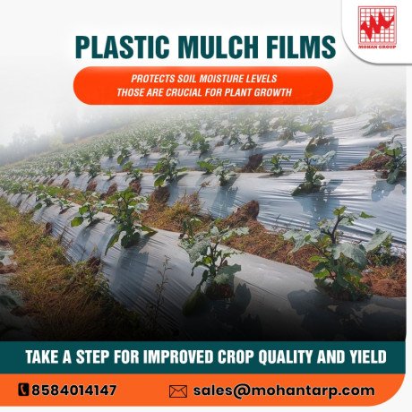 increase-productivity-with-advanced-mulching-films-big-0