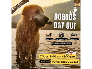 Adventure Awaits: Dog-Friendly Day in Khopoli - Tktby
