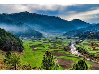 20+ Uttarakhand Tour Packages | Book now
