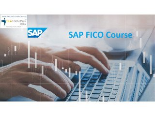 Best SAP FICO Training in Delhi, Connaught Place, Free Accounting & Finance Certification, Free Demo Classes, Special Offer till Aug'23