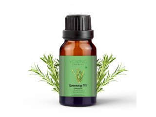 Rosemary Fragrance Oil