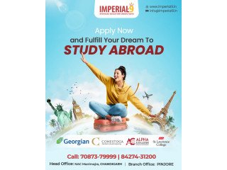 Top Reasons to Choose Imperial 9 as Your best Visa Consultants in Chandigarh