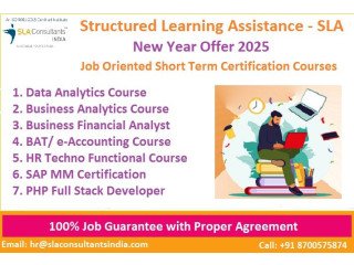 Best Business Analyst Training Course in Delhi, Google Certification, with Job Guarantee, "New Year 2025 Offer"