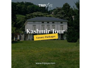 Kashmir packages for family.