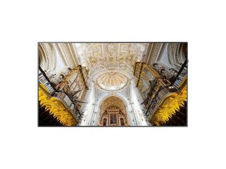 Professional Display Solutions - High-Performance Screens & Digital Signage