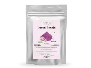 Lotus Petals
