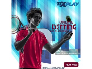 Final Verdict: Why 11xplay Online Stands Out