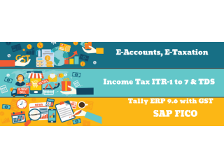 The Rise of Remote Accounting Jobs: Why an Accounting Course is Key in 2025, Accounting Certification Training in Delhi,