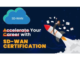 SD-WAN Training for IT Professionals Start Your Journey Today!