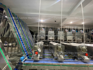 Premium Quality Automatic Cashew Peeling Machine for Efficient Processing