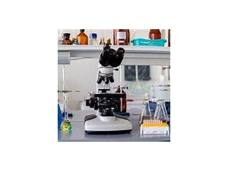 Indias Scientific Growth: Rise of Professional Lab Equipment Suppliers