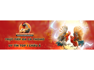 Lịch sử và sự phát triển của Đá Gà Trực Tiếp Tại Thomo