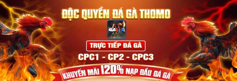 khac-phuc-nhanh-chong-tinh-trang-ga-da-bi-yeu-chan-big-0