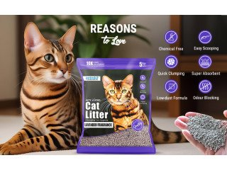 Buy Cat Litter Online