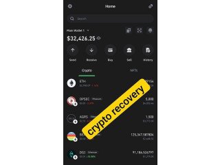 Trusted & Legitimate Crypto Recovery Companies for Lost Funds -TN