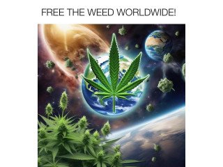Cannabis Research Store