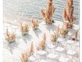find-fully-customized-event-decor-solutions-from-leading-party-planner-in-decatur-small-0