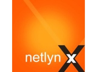 Grab more visitors on your website with Netlynx Omaha Web Design Company