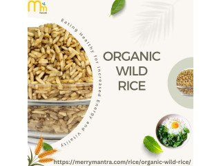 Buy Organic Wild Rice Online | For Best Price