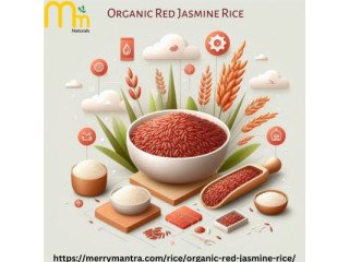Buy Organic Red Jasmine Rice
