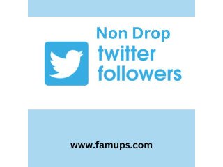 Buy Non Drop Twitter Followers to Grow Your Audience