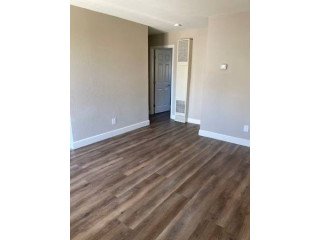 $1,400 / 1br - Modern 1 Bedroom Apartment in Prime Reno Location - 1101 E Taylor St