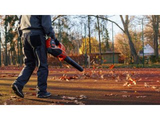 Fall Yard Clean Up Services