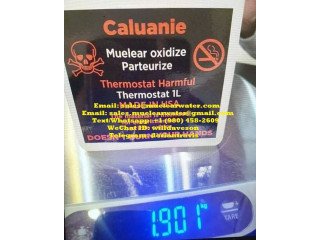 Caluanie For Sale In USA!!!!!